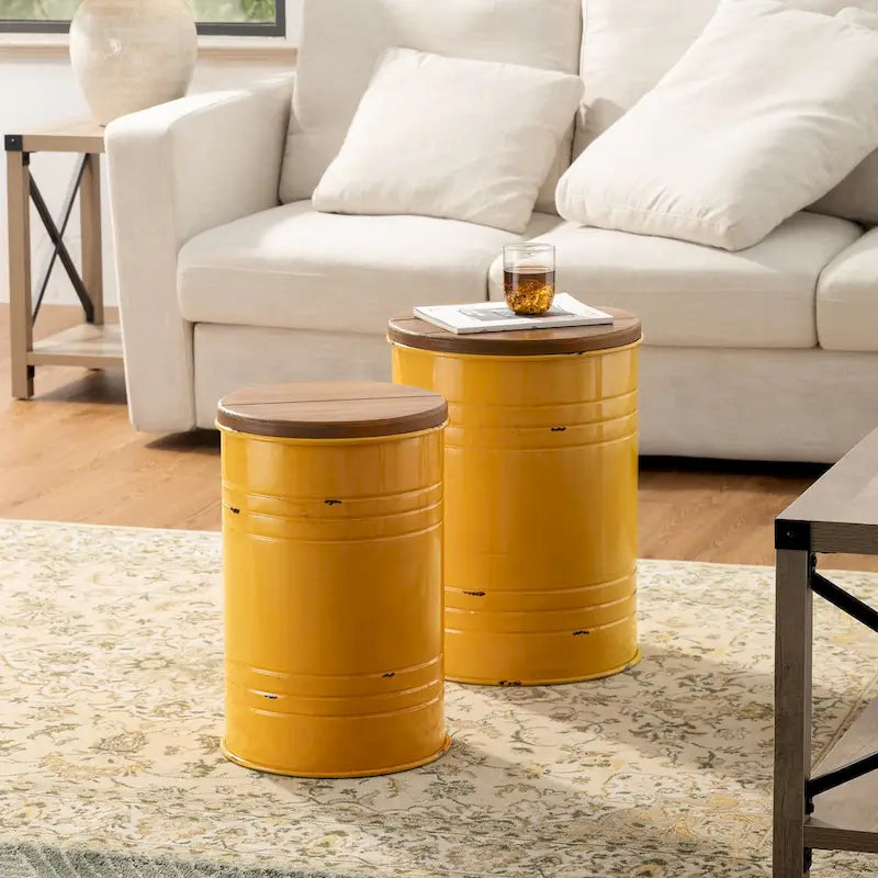 Lot de 2 poufs de rangement de bout de canapé de style fermette 19H