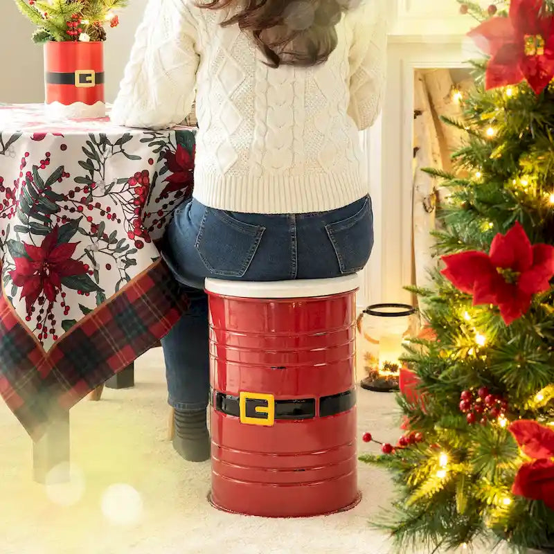 Lot de 2 poufs de rangement de bout de canapé de style fermette 19H