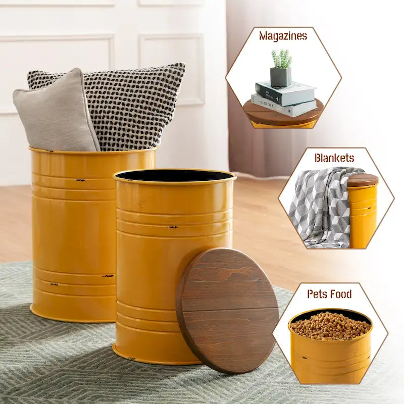 Lot de 2 poufs de rangement de bout de canapé de style fermette 19H