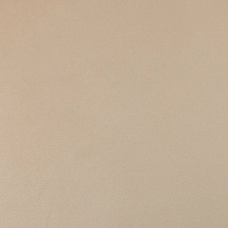 Chaise de salle à manger ou de coiffeuse en velours plissé bouclé style glamour moderne (lot de 2) avec poignée arrière